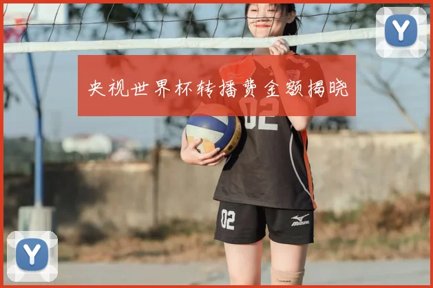 央视世界杯转播费金额揭晓