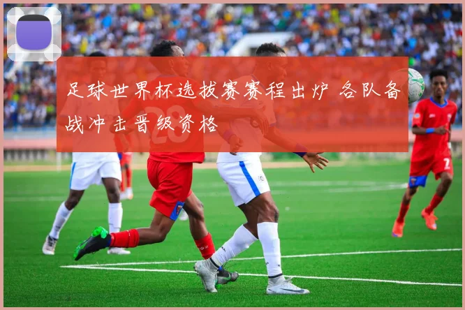 足球世界杯选拔赛赛程出炉 各队备战冲击晋级资格