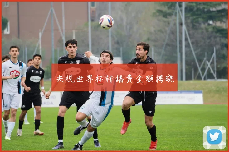 央视世界杯转播费金额揭晓