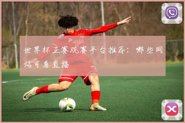 世界杯正赛观赛平台推荐:哪些网站可看直播