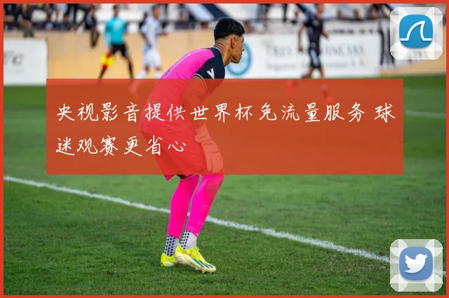 央视影音提供世界杯免流量服务 球迷观赛更省心