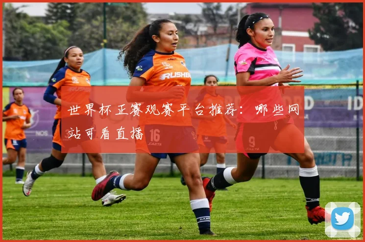 世界杯正赛观赛平台推荐：哪些网站可看直播